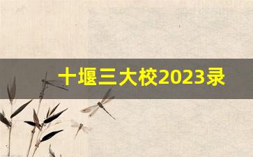 十堰三大校2023录取人数