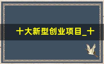 十大新型创业项目_十大冷门暴利生意利润