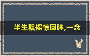 半生飘摇惊回眸,一念转瞬负清秋