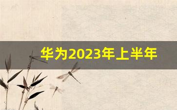 华为2023年上半年年报