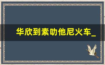 华欣到素叻他尼火车_素叻他尼