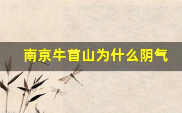 南京牛首山为什么阴气重_去牛首山的最佳时间