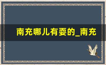 南充哪儿有耍的_南充高坪耍快餐一般在哪里啊