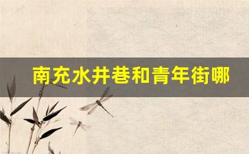 南充水井巷和青年街哪家好_南充大西街好耍的搬到哪里了