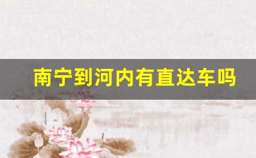 南宁到河内有直达车吗_从南宁坐汽车去河内