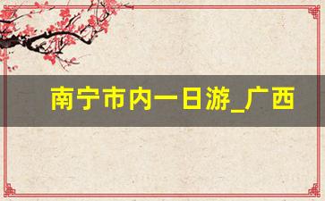 南宁市内一日游_广西南宁市一日游怎么办理