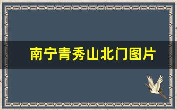 南宁青秀山北门图片