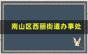 南山区西丽街道办事处_留仙大道属于哪个街道