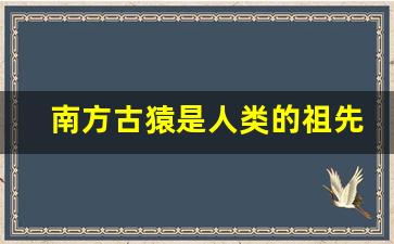 南方古猿是人类的祖先吗_南方古猿灭绝了吗