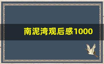 南泥湾观后感1000字_观后感300字