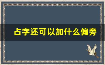 占字还可以加什么偏旁_绞丝旁加占是什么字