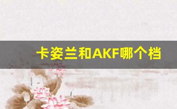 卡姿兰和AKF哪个档次高_akf和花西子对比