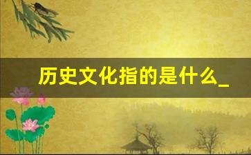 历史文化指的是什么_什么叫历史文化内涵