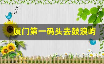 厦门第一码头去鼓浪屿船票_鼓浪屿35元是往返票吗