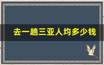 去一趟三亚人均多少钱_现在去三亚的费用是多少