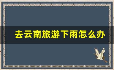 去云南旅游下雨怎么办_云南连续中小雨还可以游玩吗