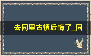 去同里古镇后悔了_同里古镇半天够吗