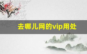 去哪儿网的vip用处大吗_去哪儿网plus会员价格