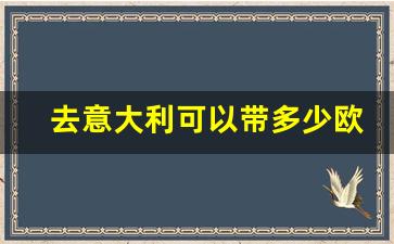 去意大利可以带多少欧元现金