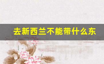 去新西兰不能带什么东西_新西兰必买清单30种