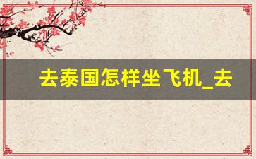 去泰国怎样坐飞机_去泰国除了飞机还能怎么去