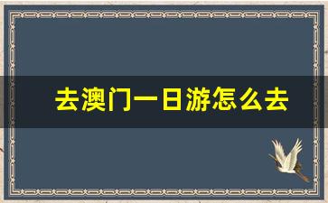 去澳门一日游怎么去