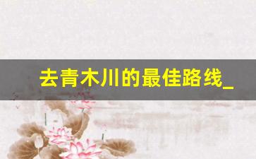 去青木川的最佳路线_青木川适合什么时候去