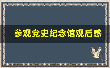 参观党史纪念馆观后感100字