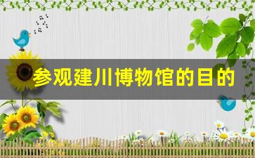 参观建川博物馆的目的_参观博物馆的收获和感受