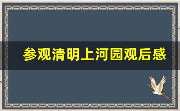 参观清明上河园观后感