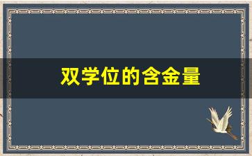 双学位的含金量