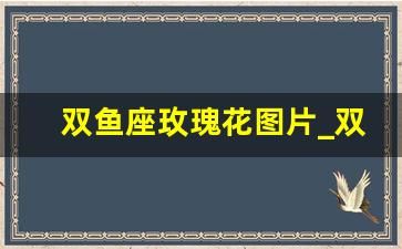 双鱼座玫瑰花图片_双鱼座月季值得入手吗