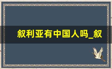 叙利亚有中国人吗_叙利亚算是灭亡了吗