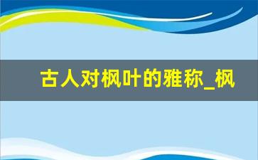 古人对枫叶的雅称_枫树的两个字的美称