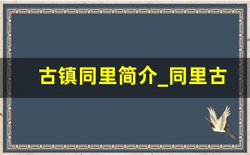 古镇同里简介_同里古镇为什么人气不旺