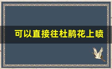 可以直接往杜鹃花上喷水吗