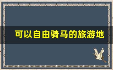 可以自由骑马的旅游地_考骑马证书要多少钱