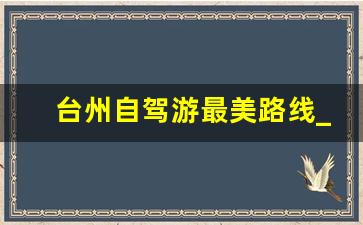 台州自驾游最美路线_台州1号公路怎么导航