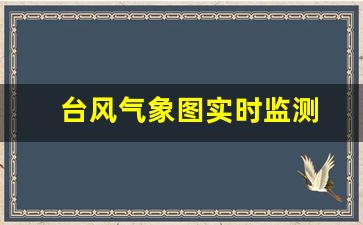 台风气象图实时监测