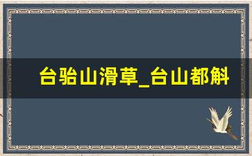 台骀山滑草_台山都斛旅游景点