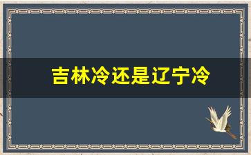 吉林冷还是辽宁冷