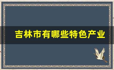 吉林市有哪些特色产业_吉林市主要工业