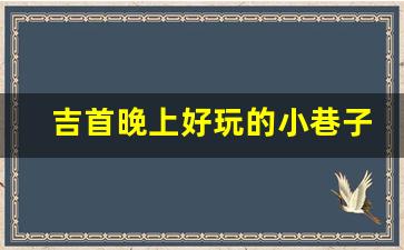 吉首晚上好玩的小巷子_乾州哪里有巷子可以玩