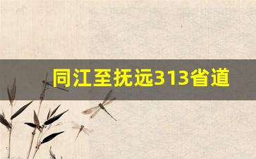 同江至抚远313省道路况