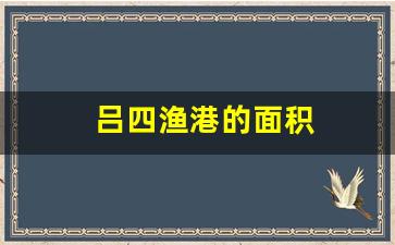 吕四渔港的面积