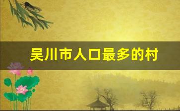 吴川市人口最多的村