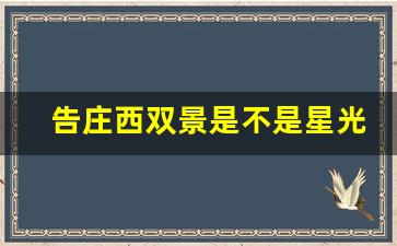 告庄西双景是不是星光夜市_中国最大的夜市是星光夜市吗