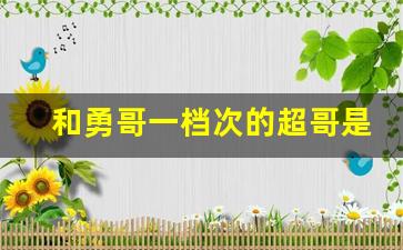 和勇哥一档次的超哥是谁_加代团伙被谁打掉的