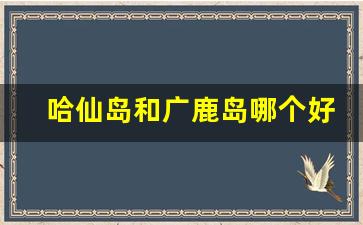 哈仙岛和广鹿岛哪个好玩