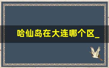 哈仙岛在大连哪个区_哈仙岛港口叫什么